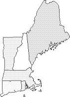 newenglandmap002.jpg